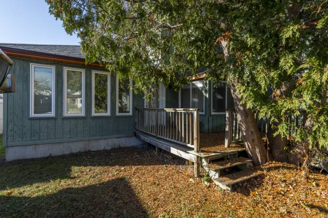 Front porch: Deck steps under the old cedars