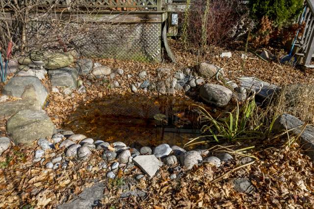 Pond: Rock-edged garden pond by the deck